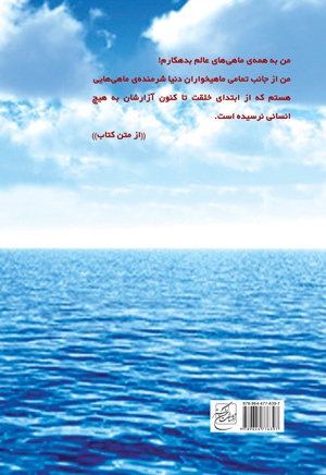 چگونه هایم